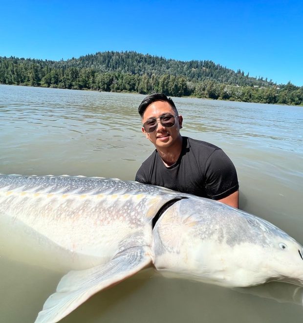 A Great White Sturgeon 9'+