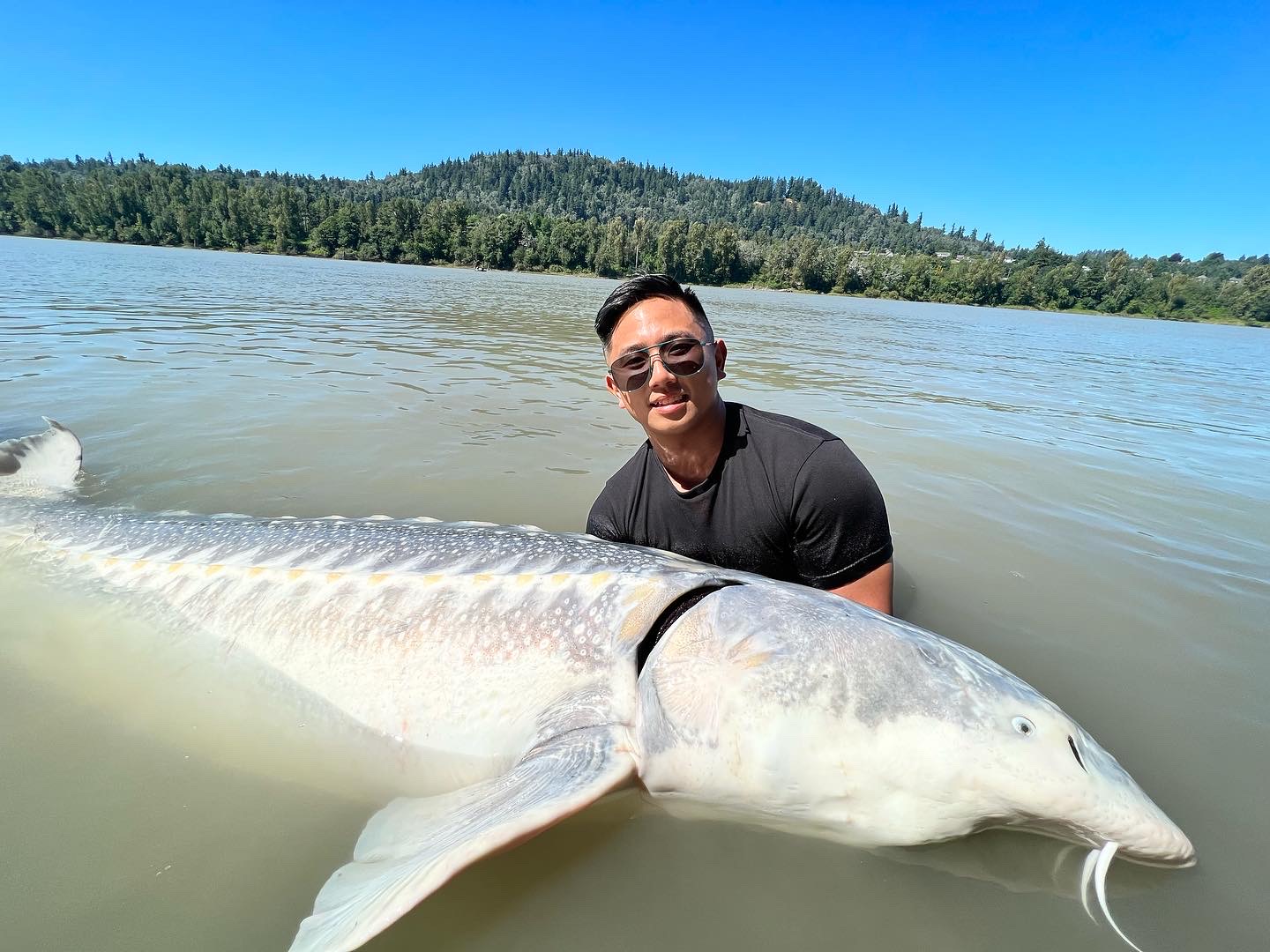 A Great White Sturgeon 9'+