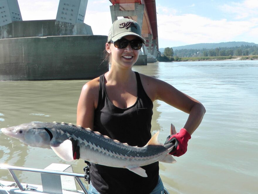 3 ft Sturgeon