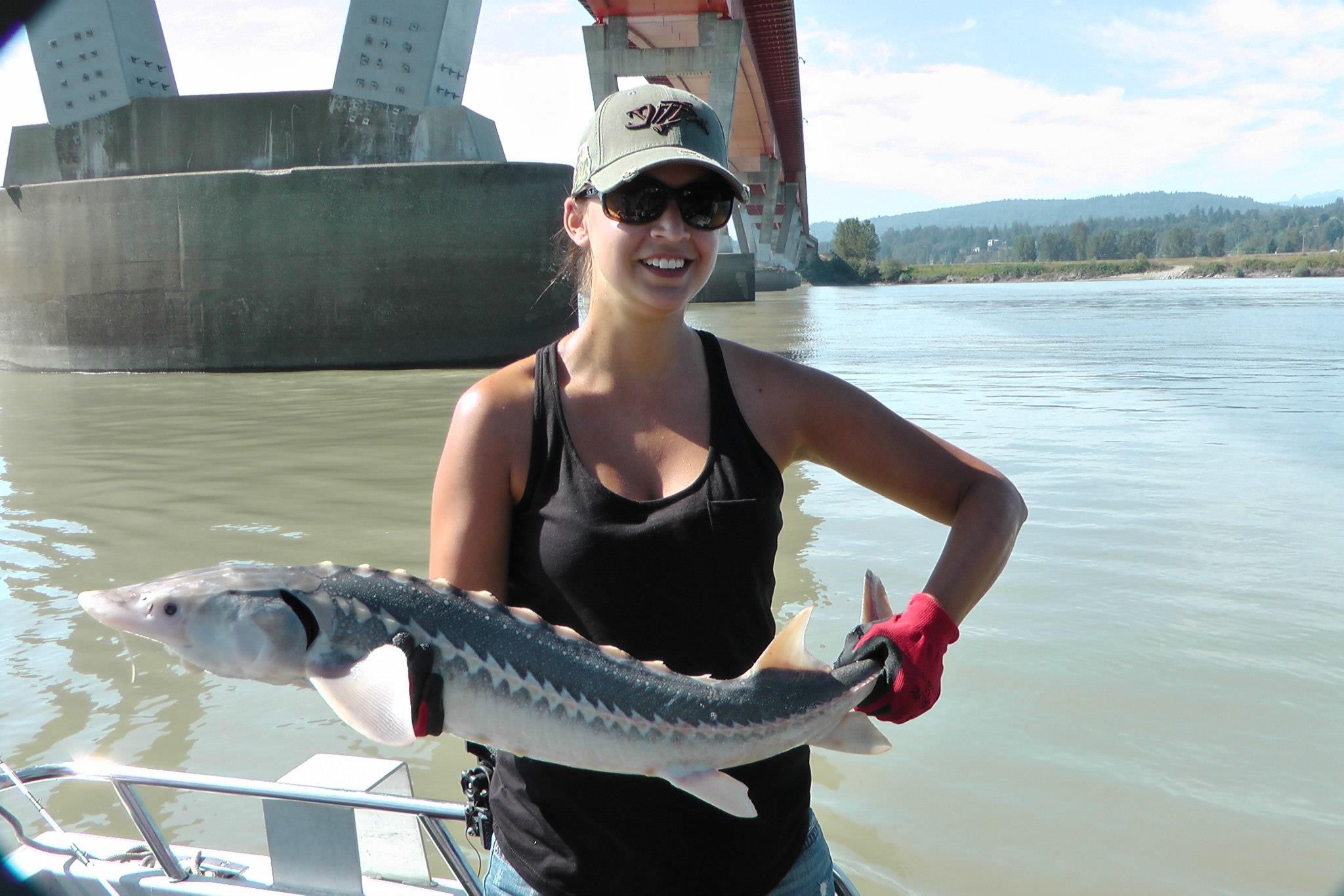 3 ft Sturgeon